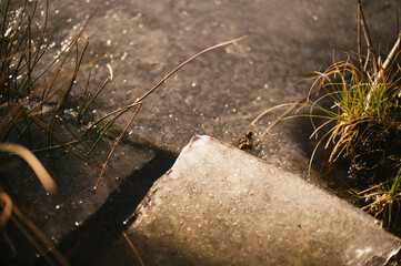 A serene frozen lake with a solitary piece of ice resting on its surface, creating a tranquil winter scene