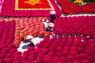 Worker drying incense in the Quang Phu Cau incense village, Hanoi, Vietnam