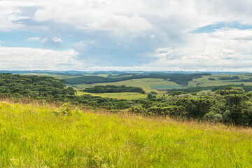 Fototapeta na wymiar A view of the Brazilian Subtropical Highland Grasslands (Campos de Cima da Serra) in Sao Francisco de Paula, South of Brazil