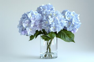 日本の梅雨の花「紫陽花」のポートレート（6月・あじさい・ブーケ） - obrazy, fototapety, plakaty