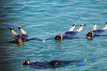 Swimmers in clear sea waters wear snorkel full face mask diving , arranged in formation. Kids enjoy...