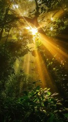 Sunlight Filtering Through Trees in Lush Green Forest Generative AI