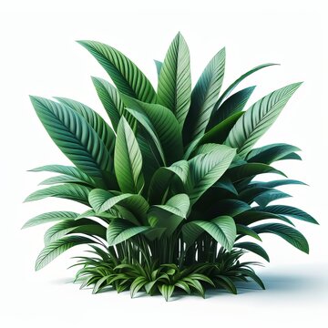 Green leaves of tropical plants bush. 3d render. isolated on white background