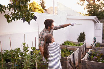 Father, daughter and gardening with pointing in home for bonding, happy family and curious child. Man, girl kid and learning with sustainability, agriculture and plant growth in backyard of house