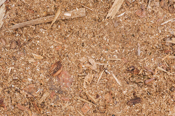 Background, texture, top view of sawdust, a piece from wooden boards at a sawmill in the forest in nature.