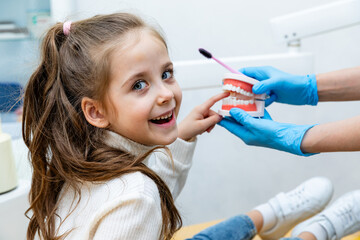 Portrait of a girl has fun and puts her finger into a model of jaws while sitting in a dental office. Children's dentistry. Children's teeth care.