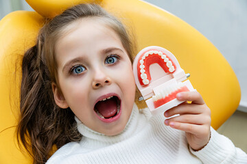 Portrait of a girl holding a model of a jaw with teeth while sitting in a dental office, looking at the camera and grimacing. Children's dentistry. Children's teeth care.