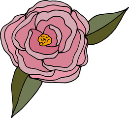 Pink Japanese camellia on white background. Vector image.
