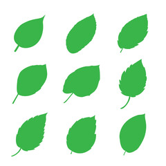 Leaf icons Green color. Set of green  Leafs green color icon logo. Leaves on white background. Ecology. Vector illustration.