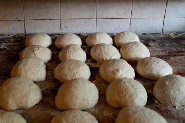 Freshly molded balls of shoti dough, rising on a tray in a bakery in Tbilisi, Republic of Georgia.