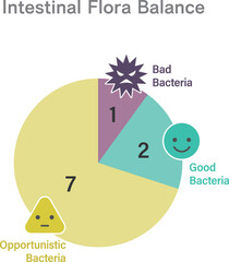 腸内フローラの最適なバランスの円グラフ　デザイン