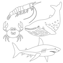 Outline Aquatic Animals Clipart Set. shrimp, crab, whale, shark