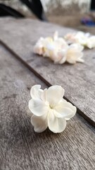Fototapeta na wymiar white flowers on wooden table