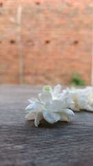 rings on a wooden table