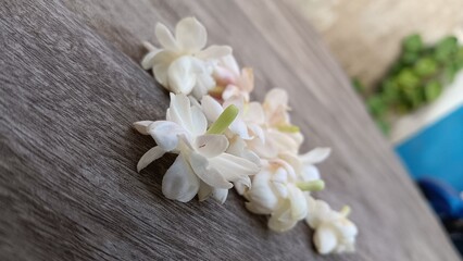 Fototapeta na wymiar White flower on wooden table 