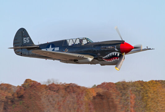 P-40 Warhawk (Flying Tiger) Fighter Airplane in Flight