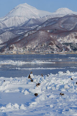 流氷とワシと知床連山　冬の北海道観光