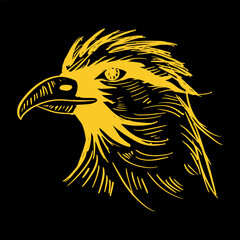Eagle Head Logo. Hand drawing. Vector illustration. - 764066309