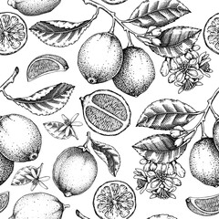 Citrus fruit seamless pattern. Lime tree branches, fruit, flowers, leaves sketches. Botanical background. Exotic plants texture. Hand drawn vector illustration. NOT AI generated - 764066343