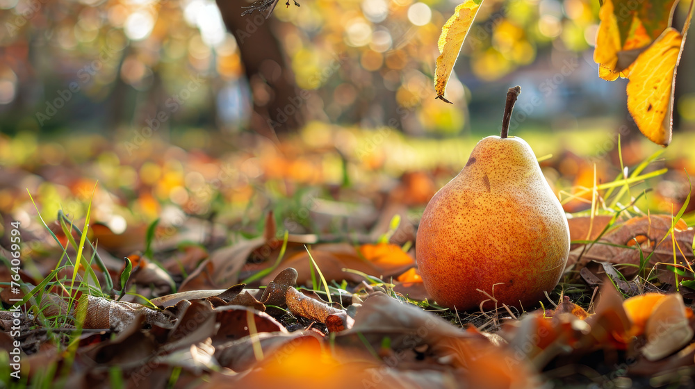 Canvas Prints A pear rests by a tree trunk among leaves.