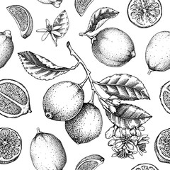 Citrus fruit seamless pattern. Lime fruit, flowers, leaves classic style sketches. Botanical background. Exotic plants texture. Hand drawn vector illustration. NOT AI generated - 764069702