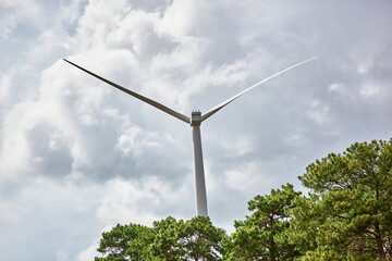 Fototapeta premium Windmills for electric power production against sky