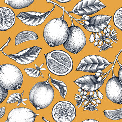 Lime fruit seamless pattern. Citrus fruit sketches. Classic botany background. Exotic plants texture. Hand drawn vector illustration. NOT AI generated - 764072713