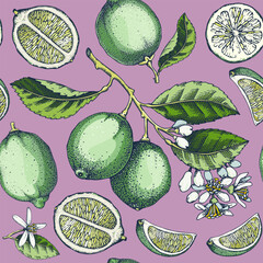 Lime fruit seamless pattern. Citrus fruit sketches. Watercolor style botanical background. Exotic plants texture. Hand drawn vector illustration. NOT AI generated - 764075109