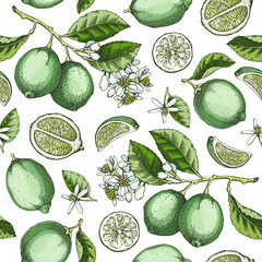Lime fruit seamless pattern. Citrus fruit sketches watercolor style. Botanical background. Exotic plants texture. Hand drawn vector illustration. NOT AI generated - 764076195