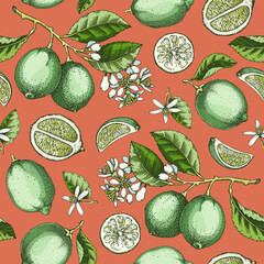 Lime fruit seamless pattern. Citrus fruit sketches. Mixed media botanical background. Exotic plants texture. Hand drawn vector illustration. NOT AI generated - 764077124
