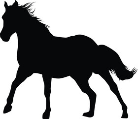 Silhouette of horse full body illustration in vector