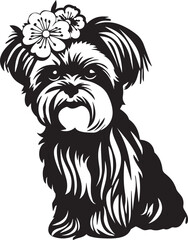 shih tzu dog with flowers