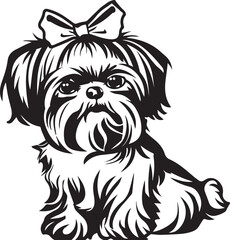 shih tzu puppy dog