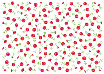 赤いカーネーションの花柄背景イラスト