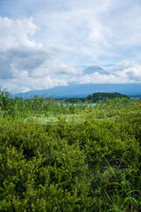 Fototapeta na wymiar View of Mount Fuji and green meadow with cloudy sky