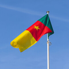 Republic of Cameroon Flag at Blue Sky African Country