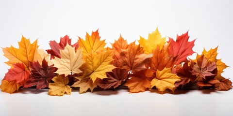 Naklejka na ściany i meble Group of Autumn Leaves on White Background Generative AI