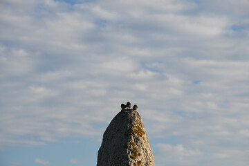 apresiando el paisaje 