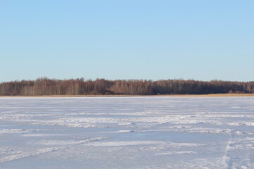 landscape of frozen river and forest