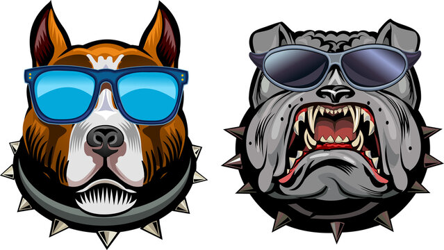 Heads of pit bull and English Bulldog
