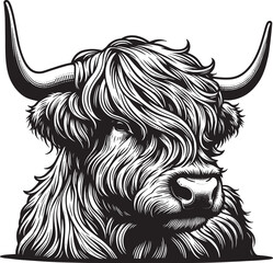 Highland cow detailed silhouette hand drawn vector - obrazy, fototapety, plakaty
