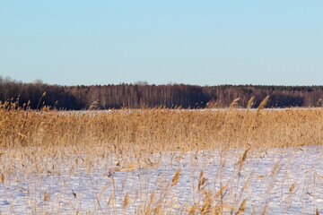 frozen lake in winter