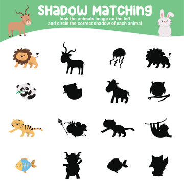 Look the animal image on the left and circle the correct shadow of each animal. Find the correct shadow