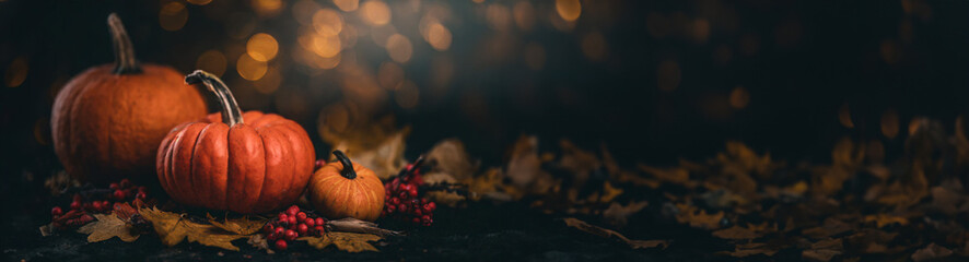 Thanksgiving day concept. Autumn background. Halloween Pumpkins. Orange pumpkin over beauty autumnal fall nature background. Harvest, banner, dark background with space for text.