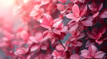 Deurstickers a pink floral background © Davy