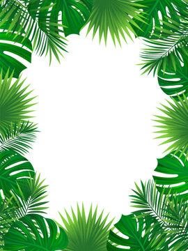 tropical rainforest vertical border frame. vector background. Amazon foliage with exotic tropic leaves, jungle plants and grass. Summer, travelling vacation card for invitation and promo designs