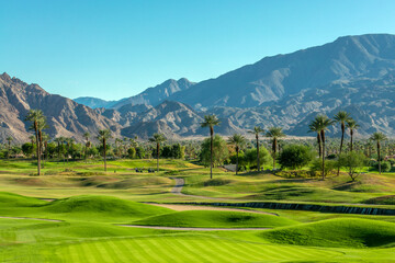 Green lawn and palm trees on a golf course in Palm Springs, California