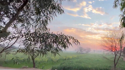 Evening time, clouds, lush fields, fog, wheat and mustard crops, cold weather, setting sun Evening...