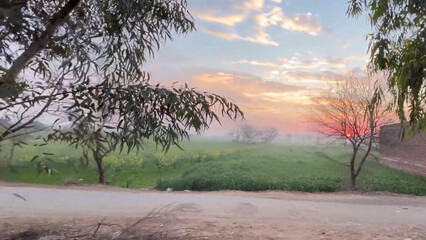 Evening time, clouds, lush fields, fog, wheat and mustard crops, cold weather, setting sun Evening...