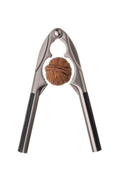 Metal nut cracker tongs for opening nuts isolated on white background. with a walnut inside. Close-up.